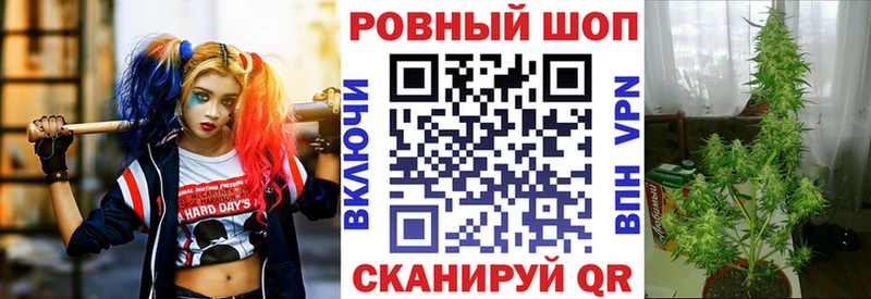 Магазины продажи наркотиков Барнаул А ПВП  Галлюциногенные грибы  ГАШИШ  КОКАИН  Меф мяу мяу 