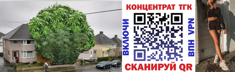Дистиллят ТГК THC oil  Барнаул 