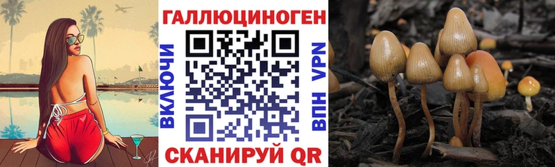 Псилоцибиновые грибы мухоморы  сколько стоит  MEGA вход  Барнаул 